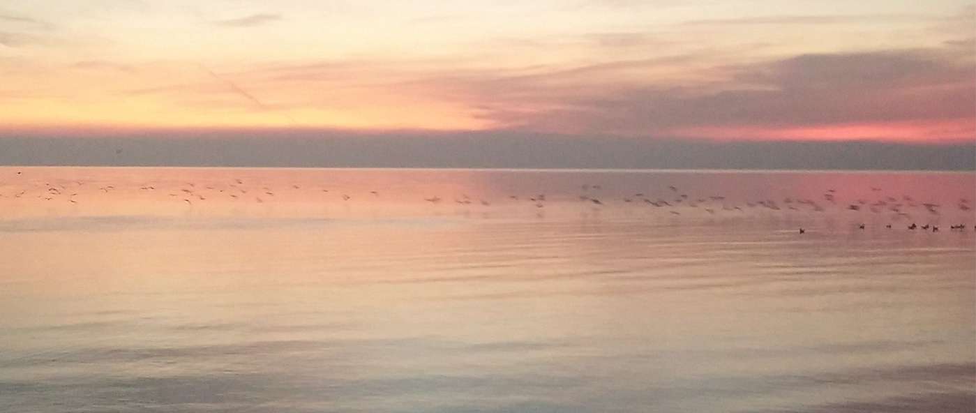 Alba dell'11 novembre