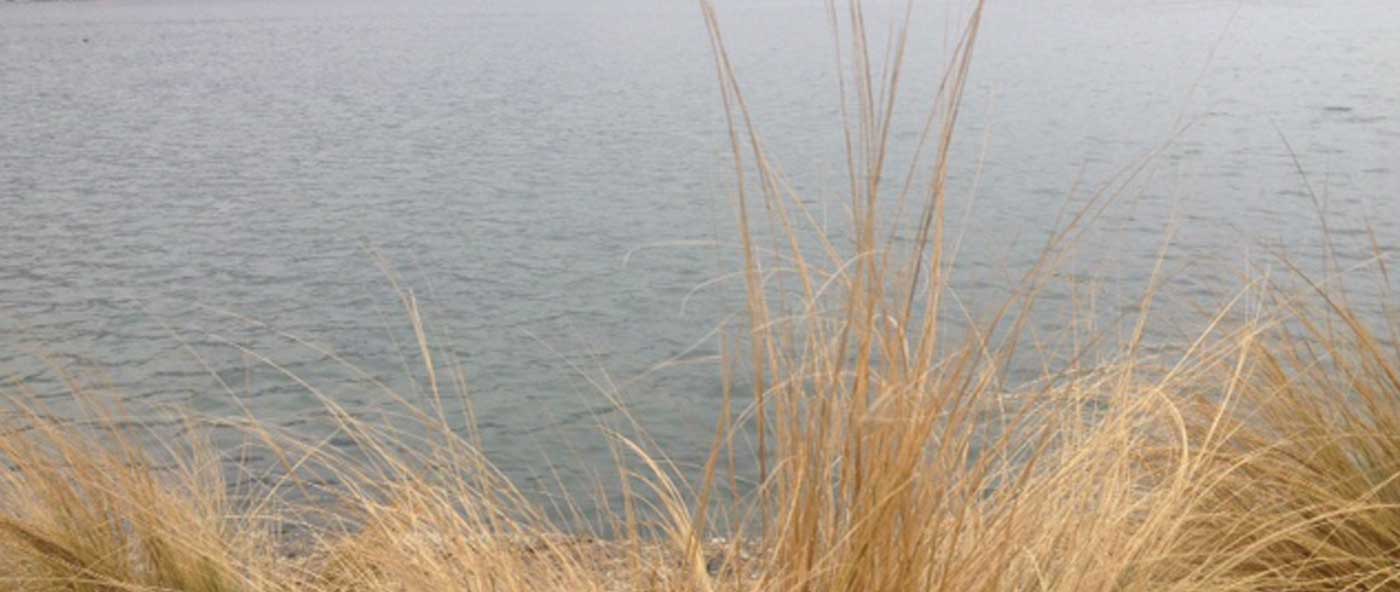 Alba del 14 febbraio