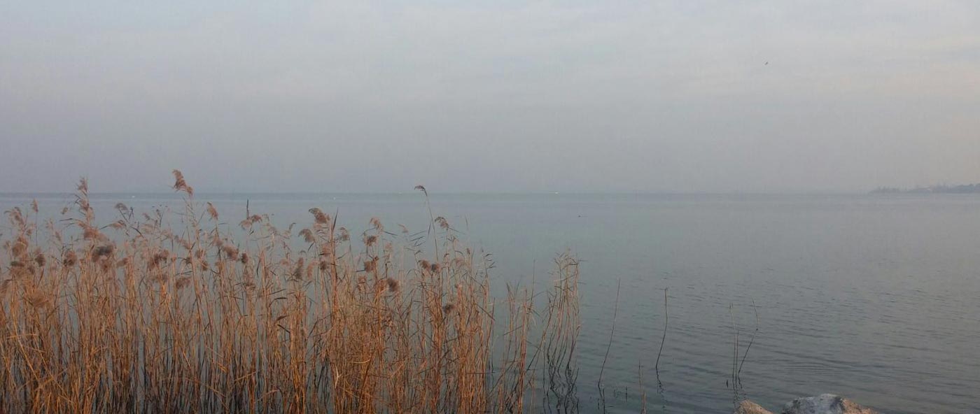 Alba del 17 dicembre