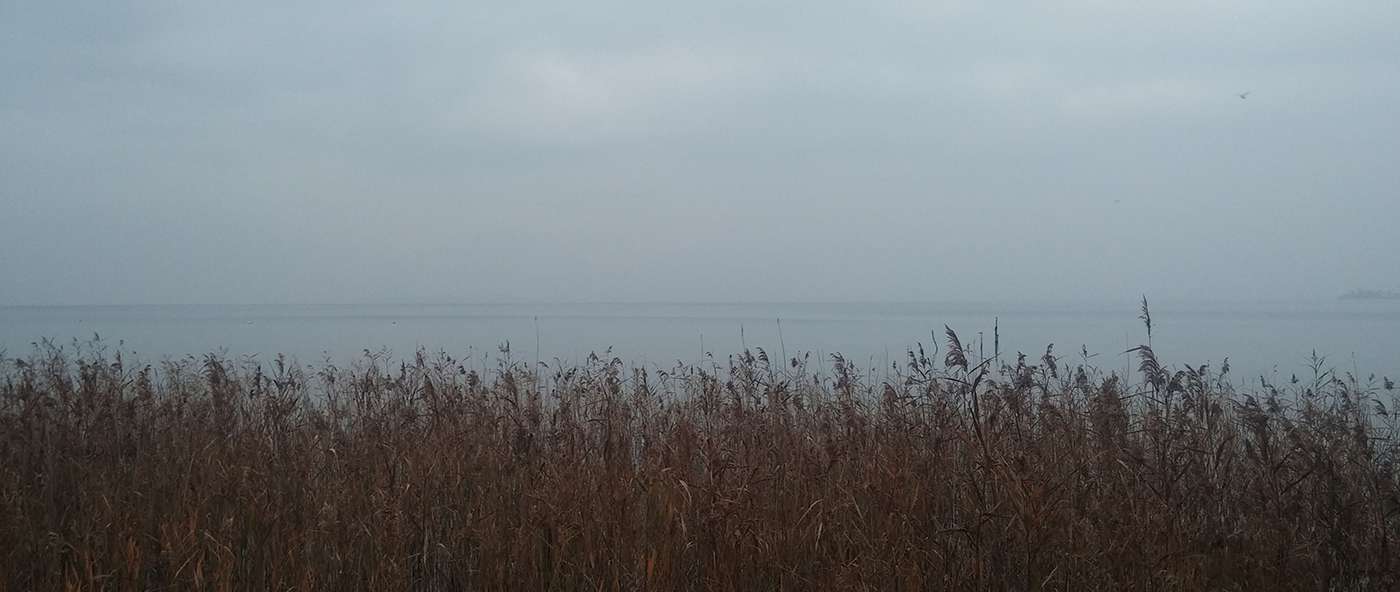 Alba del 19 novembre