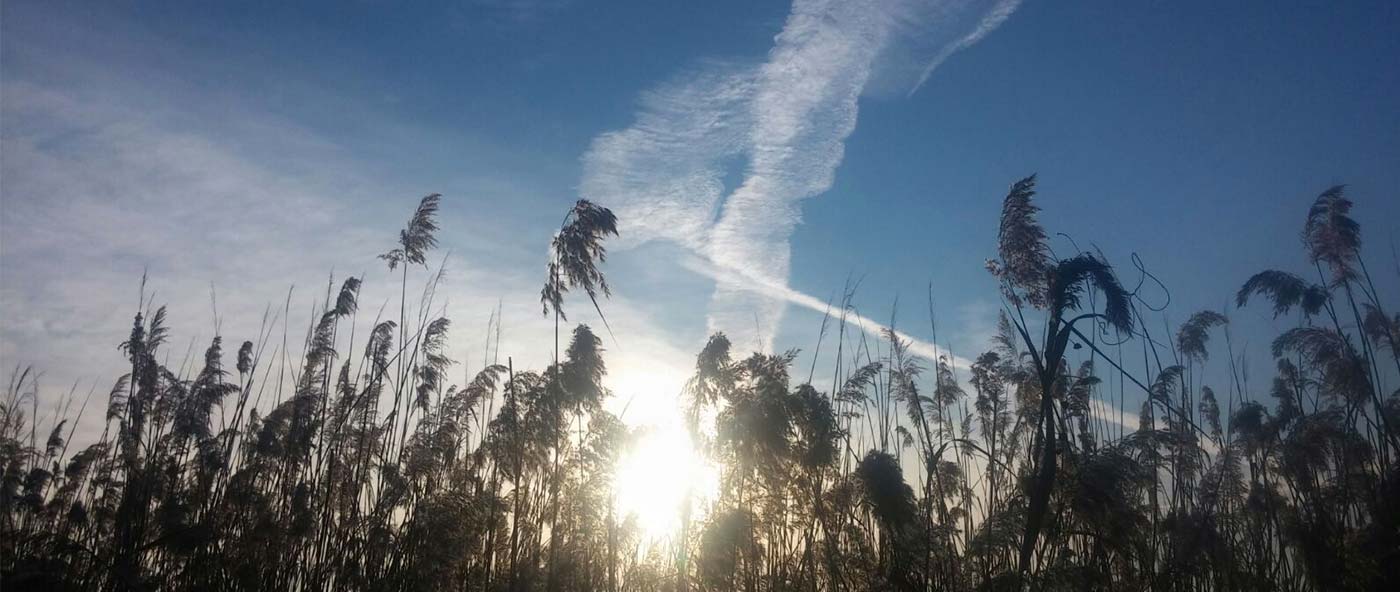 Alba del 21 febbraio