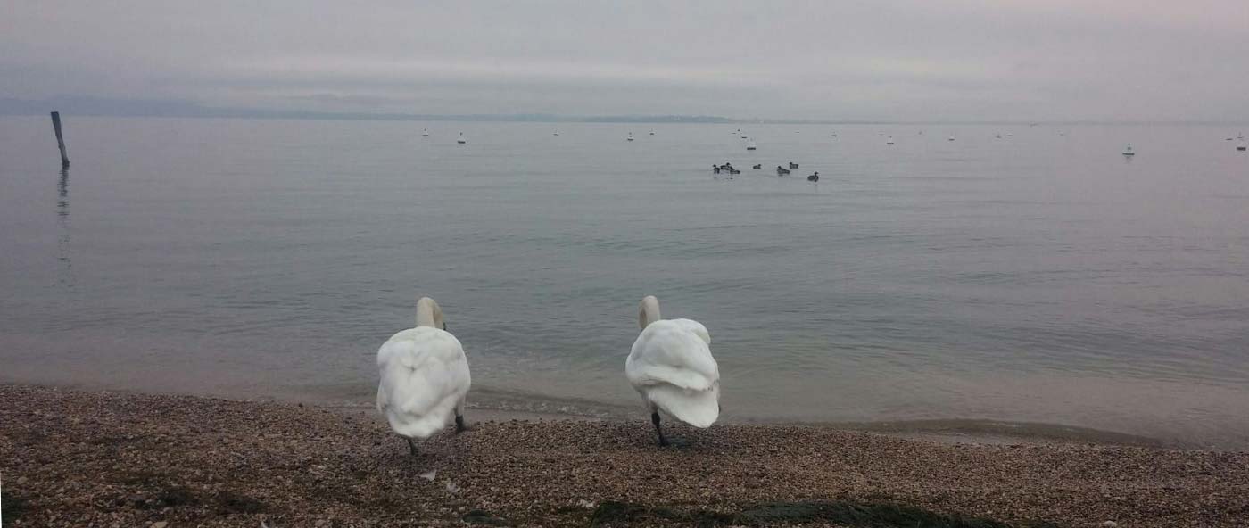 Alba dell'8 febbraio