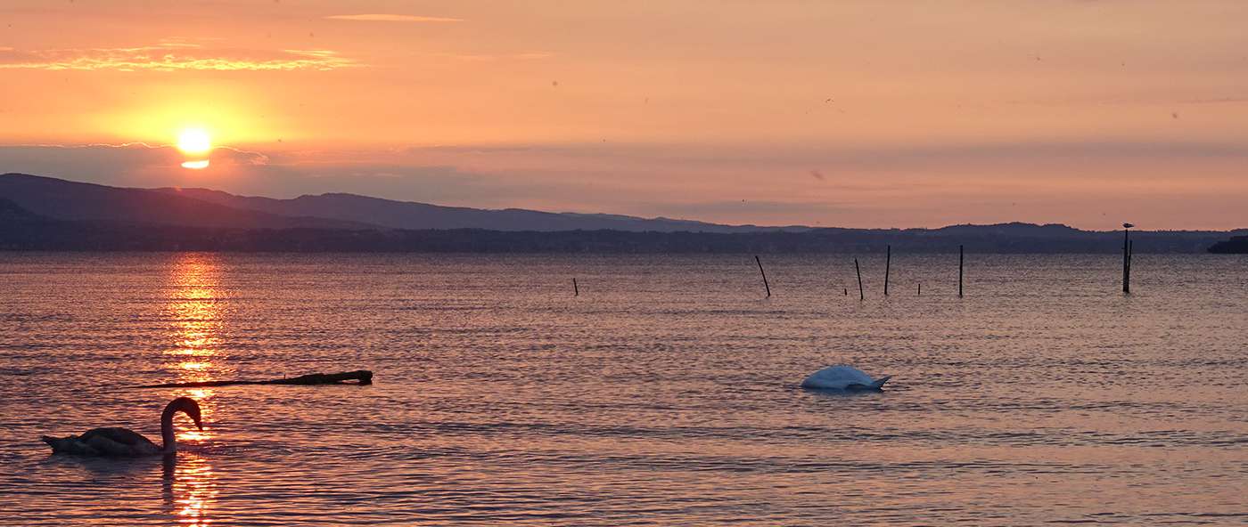 alba dell'8 settembre